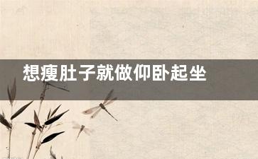 想瘦肚子就做仰卧起坐  仰卧起坐得这么做才有效(做仰屋起坐瘦肚子吗)